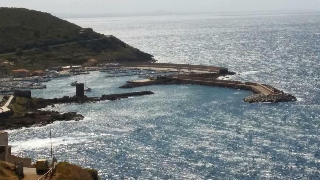 Cavalluccio Marino * Castelsardo