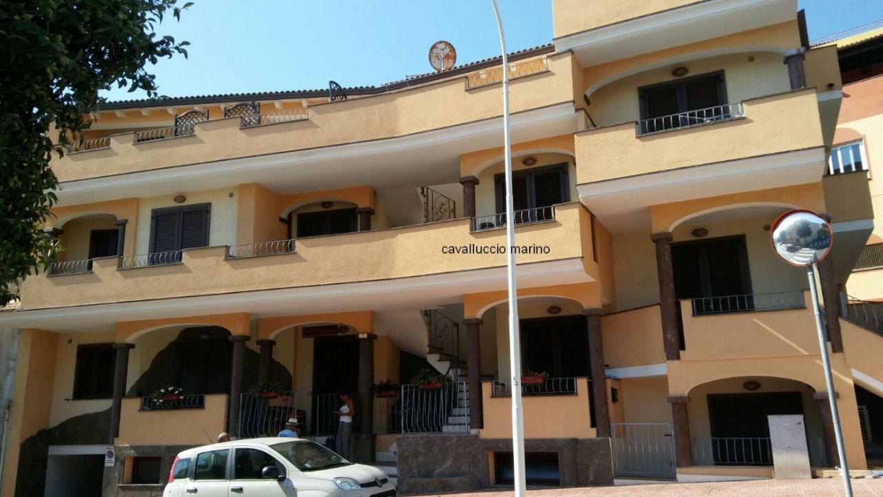 Cavalluccio Marino Castelsardo
